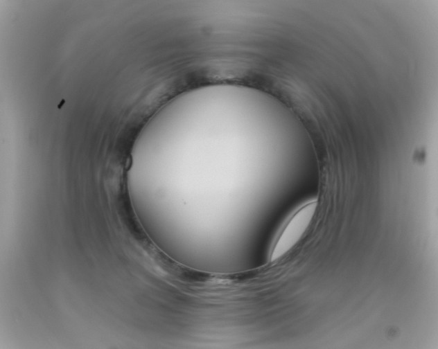 X0000092080227200709121112