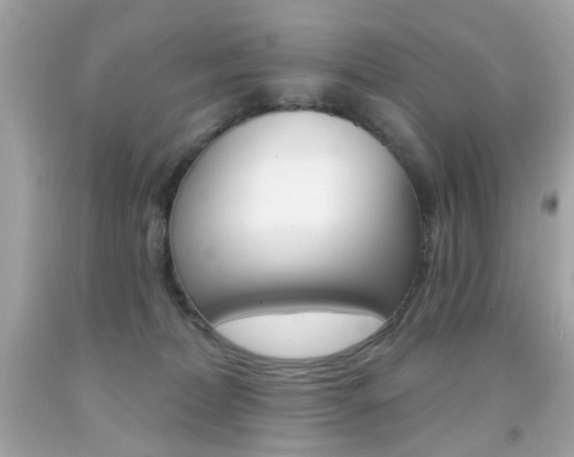X0000092080228200709121112