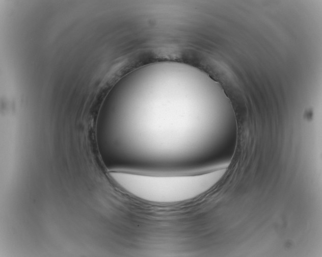 X0000092080229200709121112