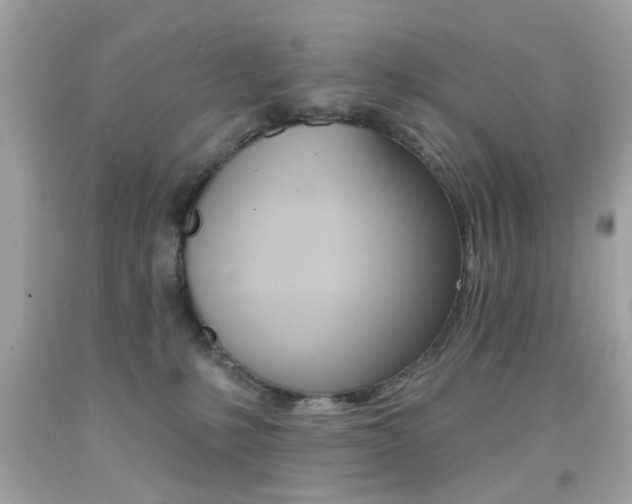 X0000092080231200709121112