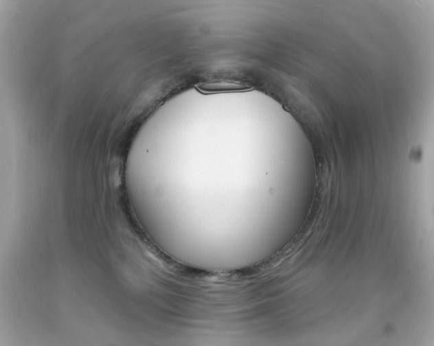 X0000092080232200709121112