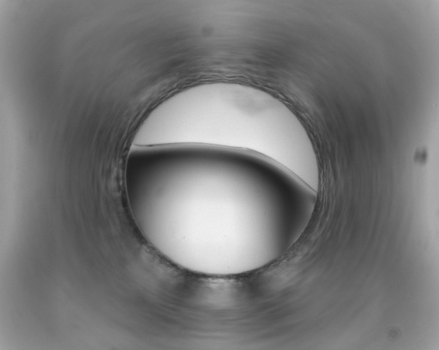 X0000092080233200709121112