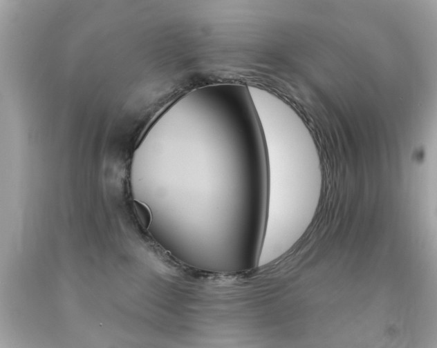 X0000092080235200709121112