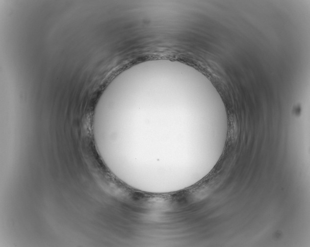 X0000092080236200709121112