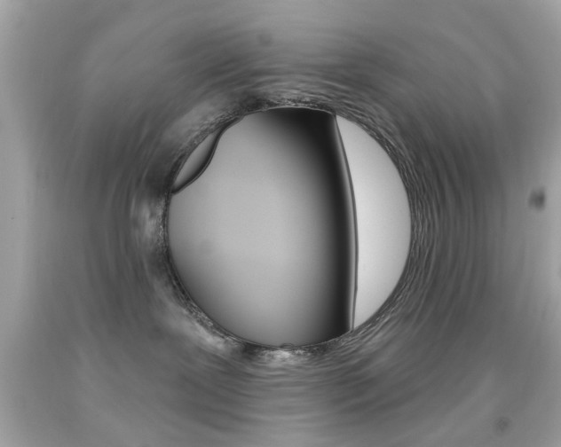 X0000092080239200709121112