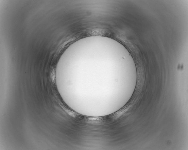 X0000092080240200709121112