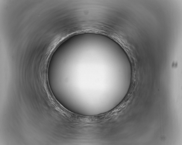 X0000092080241200709121111