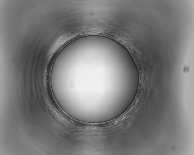 X0000092080242200709121111