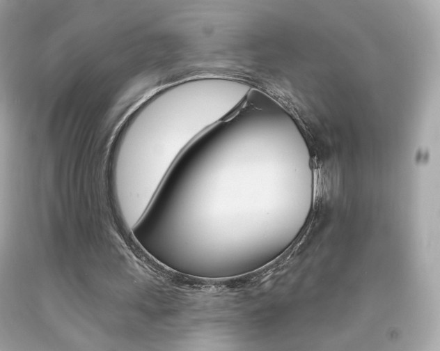 X0000092080243200709121111