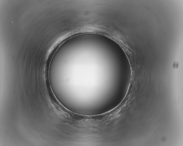 X0000092080244200709121111
