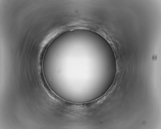 X0000092080245200709121111