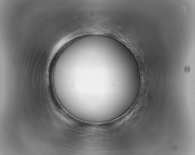 X0000092080246200709121111