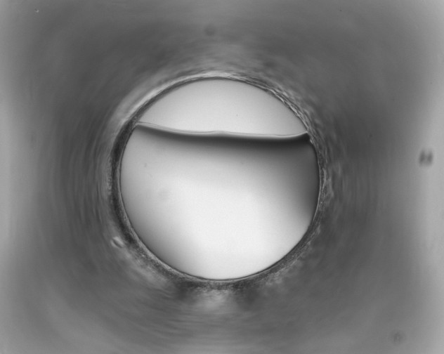 X0000092080247200709121111
