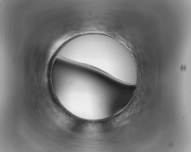 X0000092080248200709121111