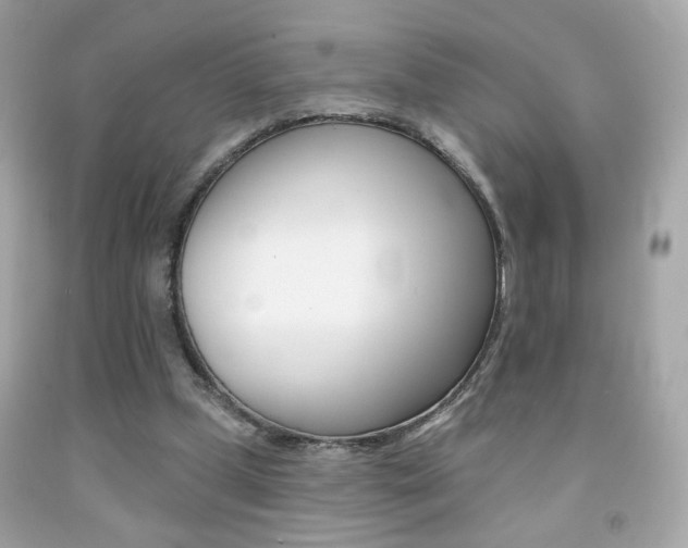 X0000092080249200709121111