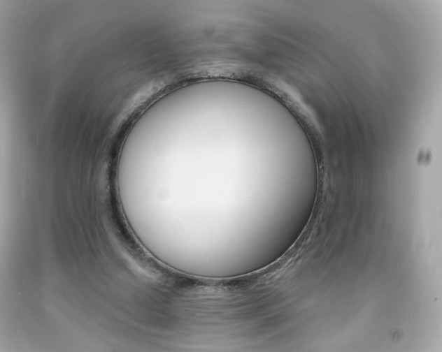 X0000092080250200709121111