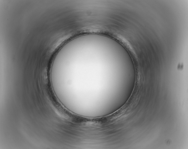 X0000092080251200709121111