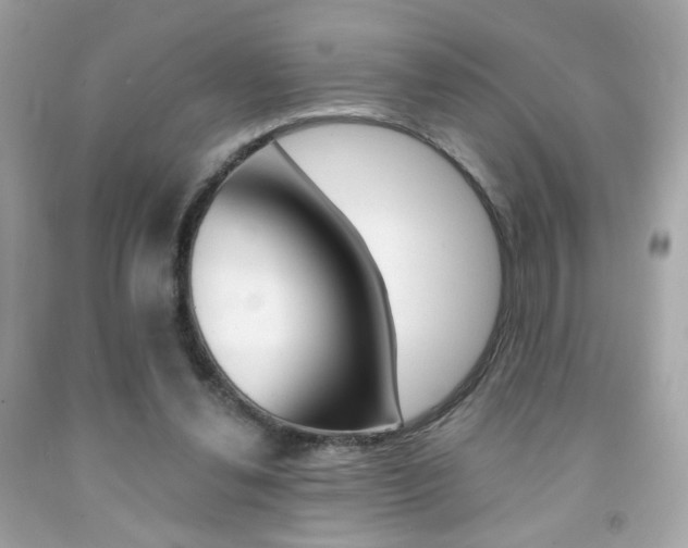 X0000092080252200709121111