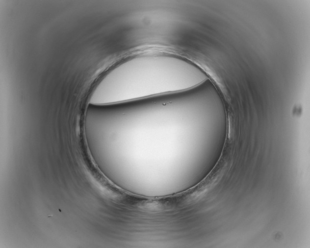 X0000092080253200709121111