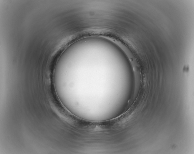 X0000092080254200709121111