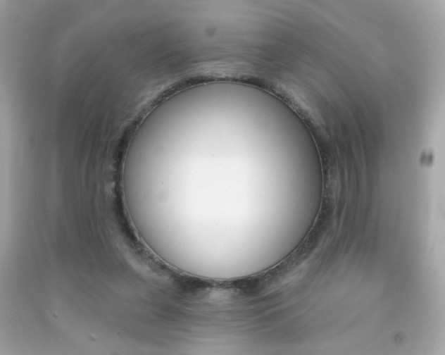 X0000092080255200709121111