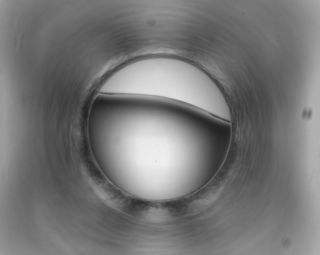 X0000092080256200709121111