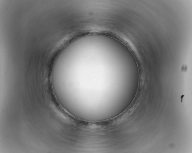 X0000092080257200709121111
