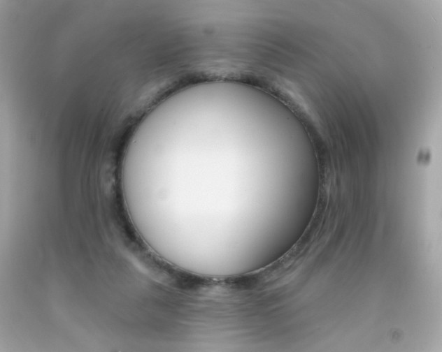 X0000092080259200709121111