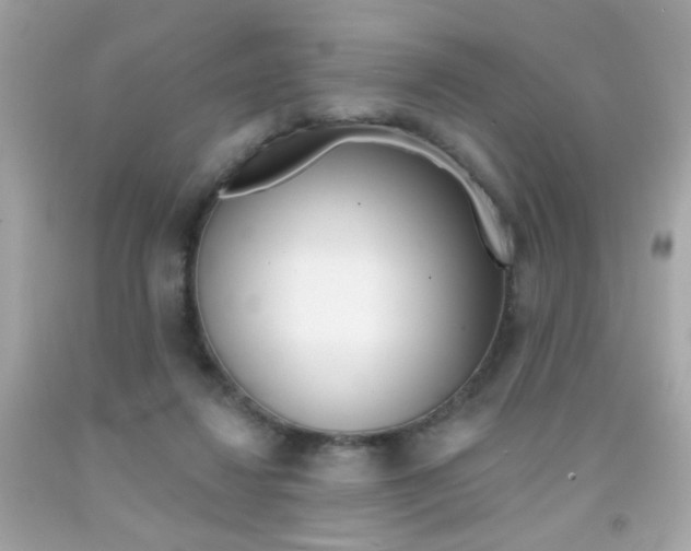 X0000092080260200709121111
