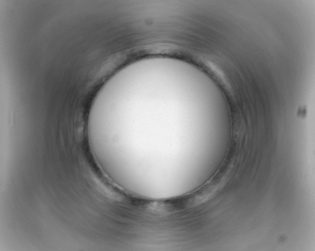 X0000092080261200709121111
