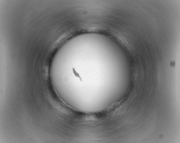 X0000092080262200709121111