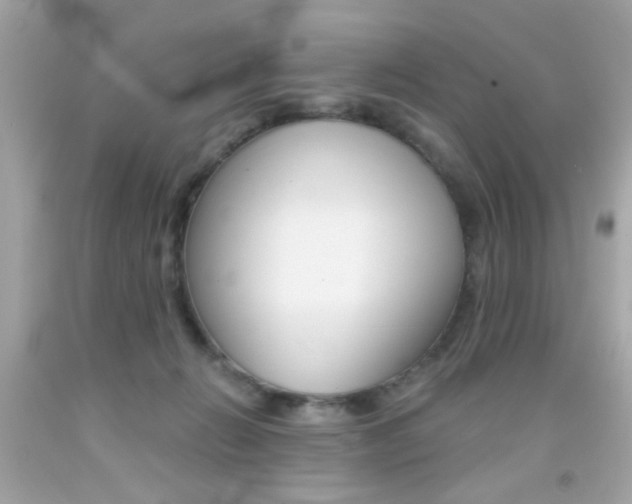 X0000092080270200709121112