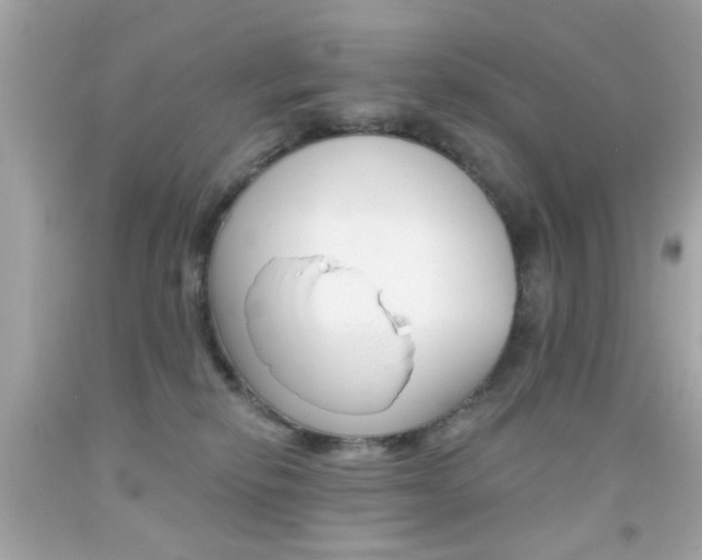 X0000092080278200709121112