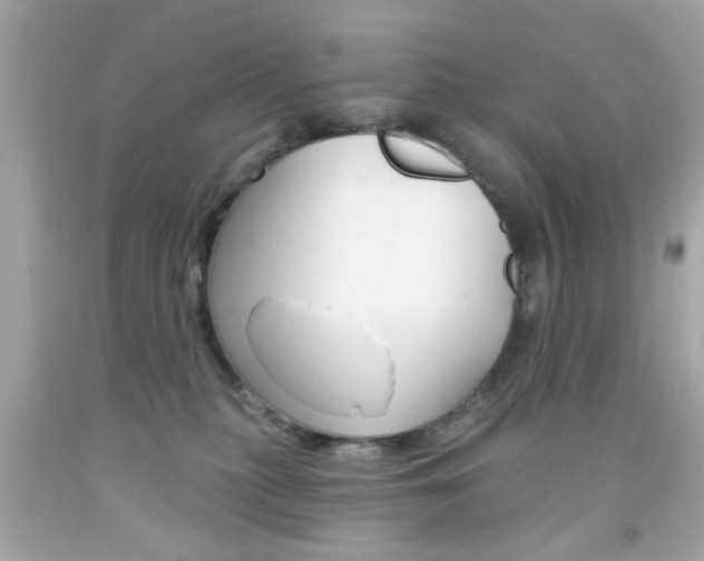 X0000092080279200709121112