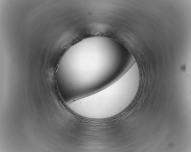 X0000092080280200709121112