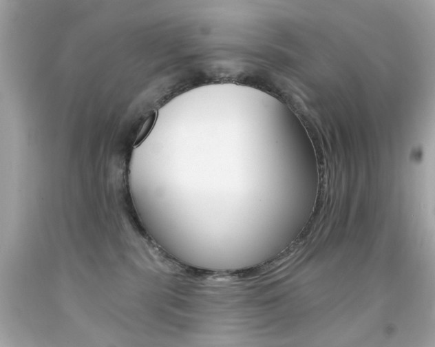X0000092080283200709121112