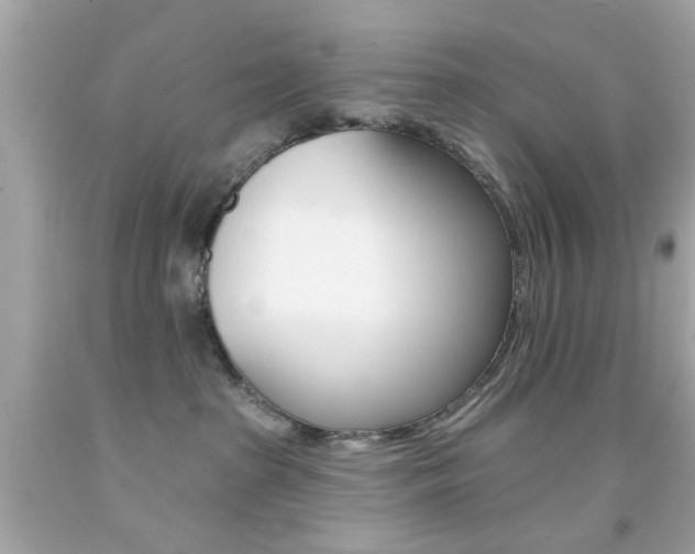 X0000092080285200709121112