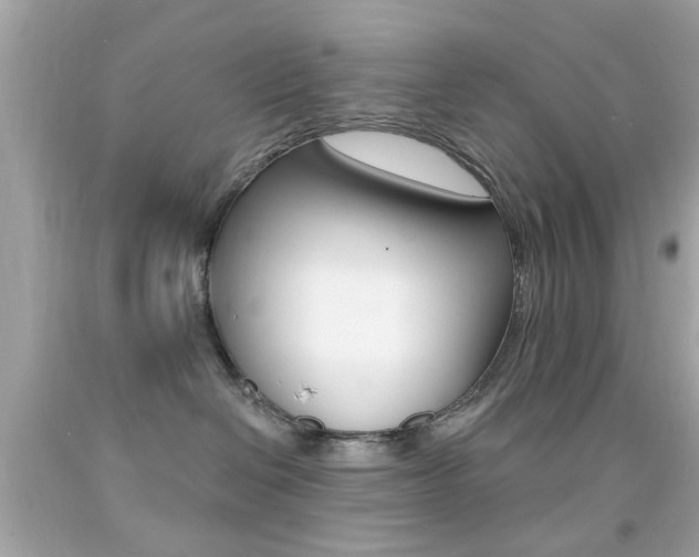X0000092080286200709121112