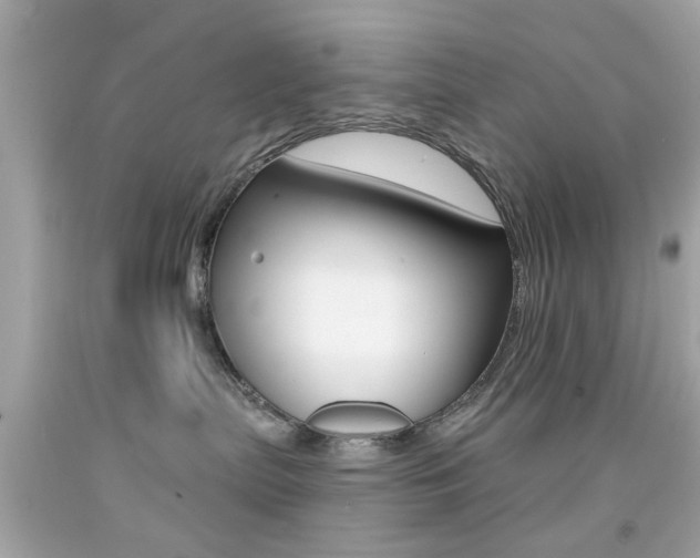 X0000092080287200709121112