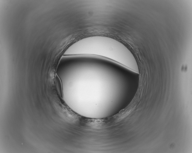 X0000092080288200709121112