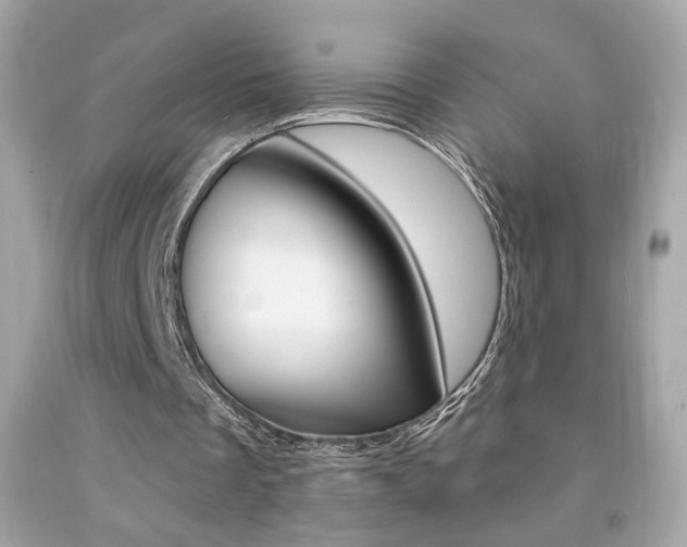 X0000092080289200709121111
