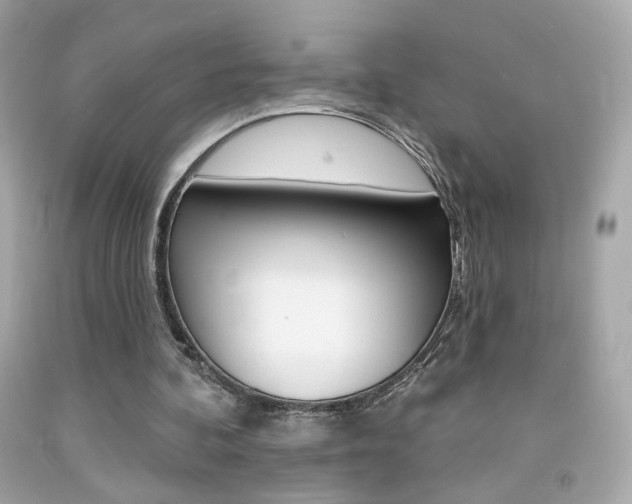 X0000092080292200709121111