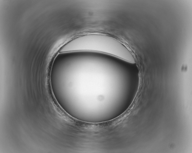X0000092080293200709121111