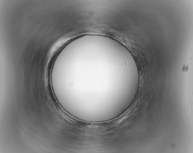 X0000092080294200709121111