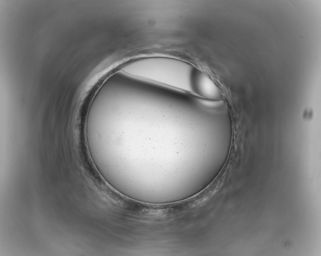 X0000092080295200709121111