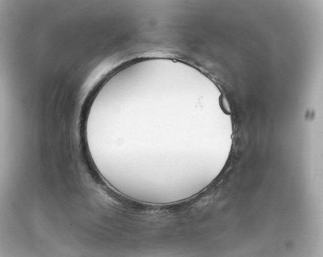 X0000092080296200709121111