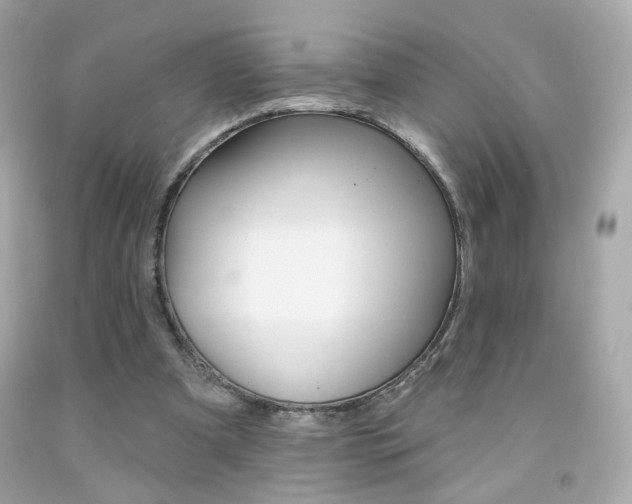 X0000092080297200709121111