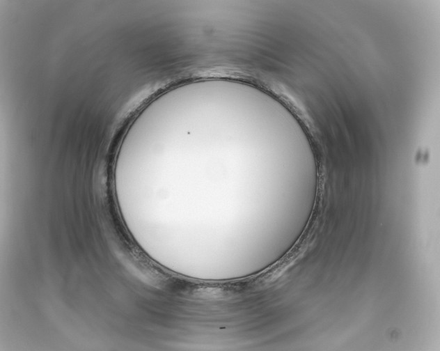 X0000092080298200709121111