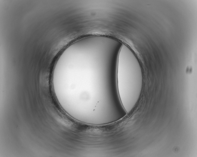 X0000092080299200709121111