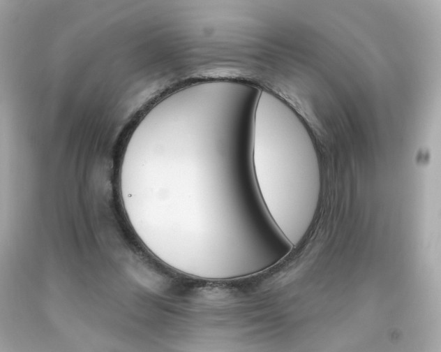X0000092080300200709121111